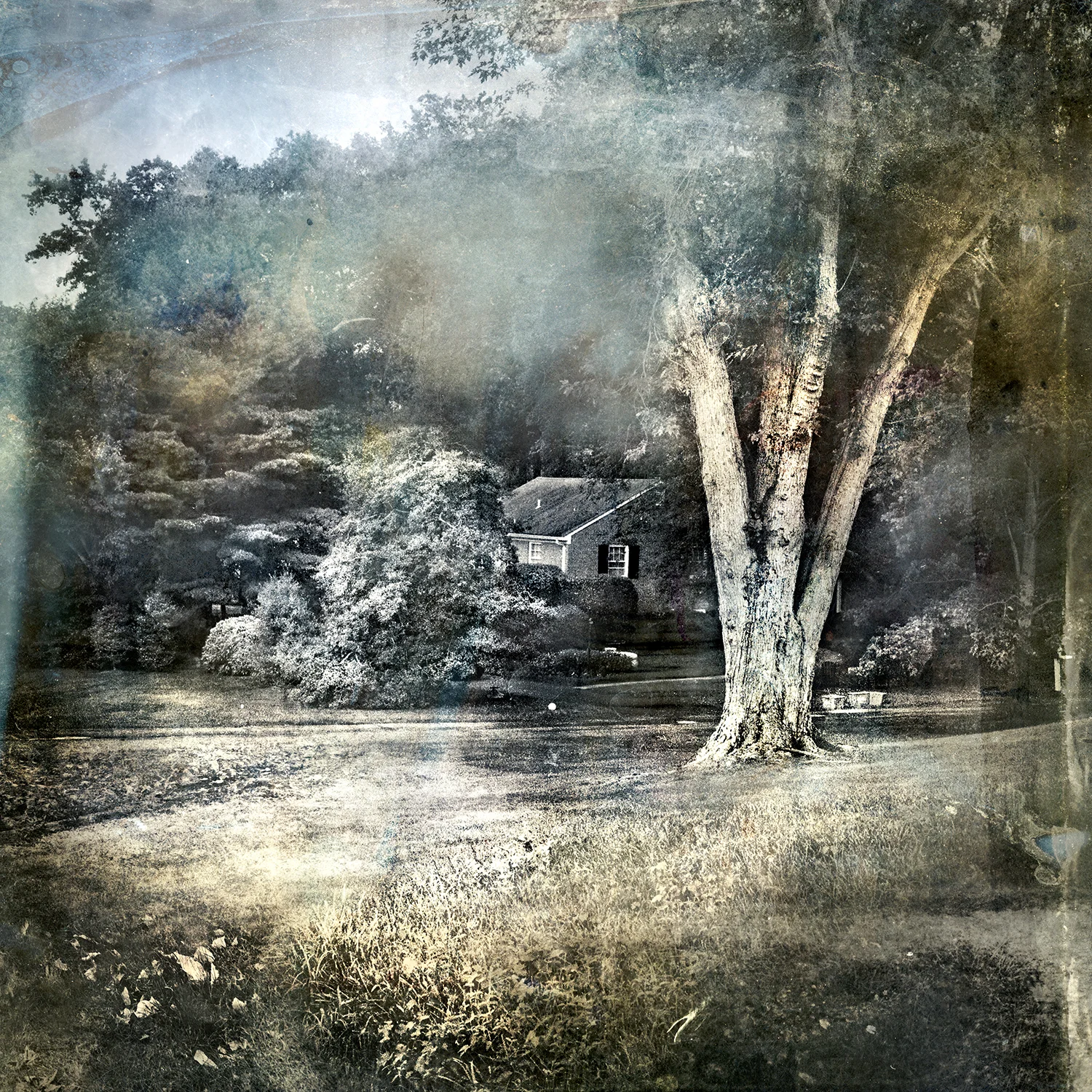 David Douglas - Mixed Media Artist | Iris Gallery | Contemporary